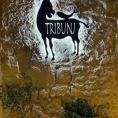 Marevita Casa vacanze *